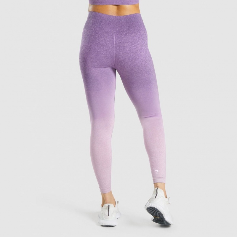 Leggins Gymshark Adapt Ombre Seamless Moradas Claro Moradas | 58MRUYVFB