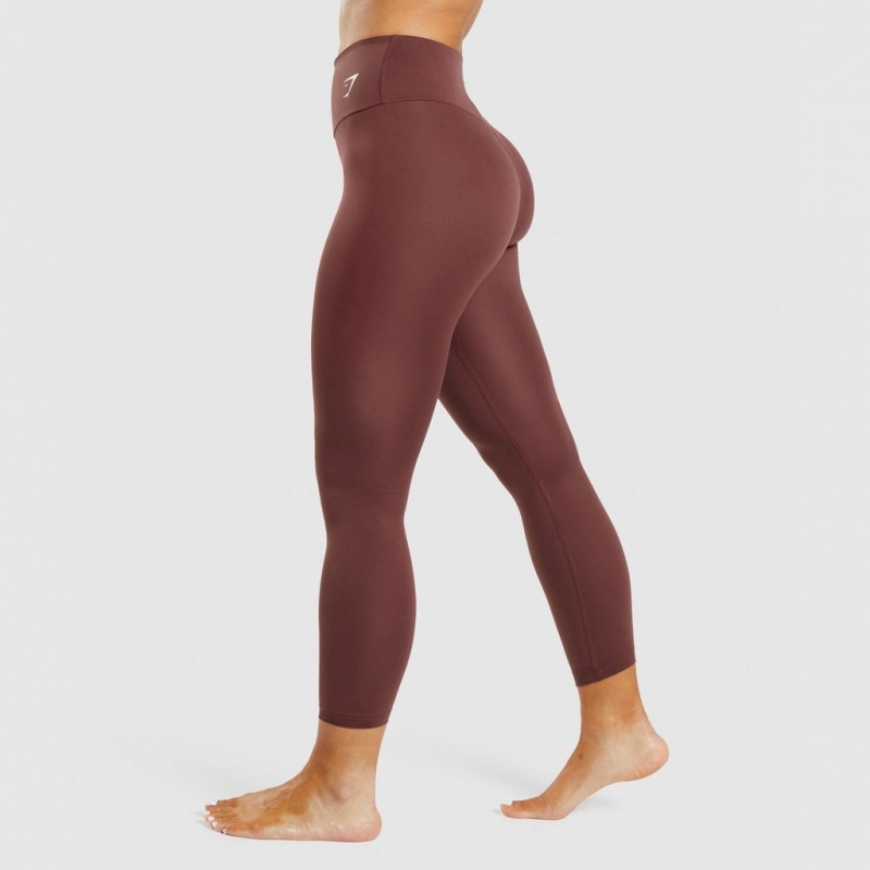 Leggins Gymshark Entrenamiento Marrones | 10GSCIZVX