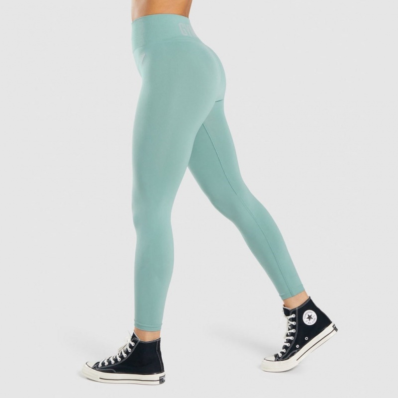 Leggins Gymshark Fit Seamless Mid Rise Verde Claro | 49KARXQZN