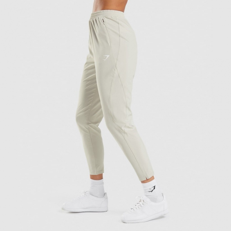 Leggins Gymshark Maximise Pista Gris | 58JZQWSNK