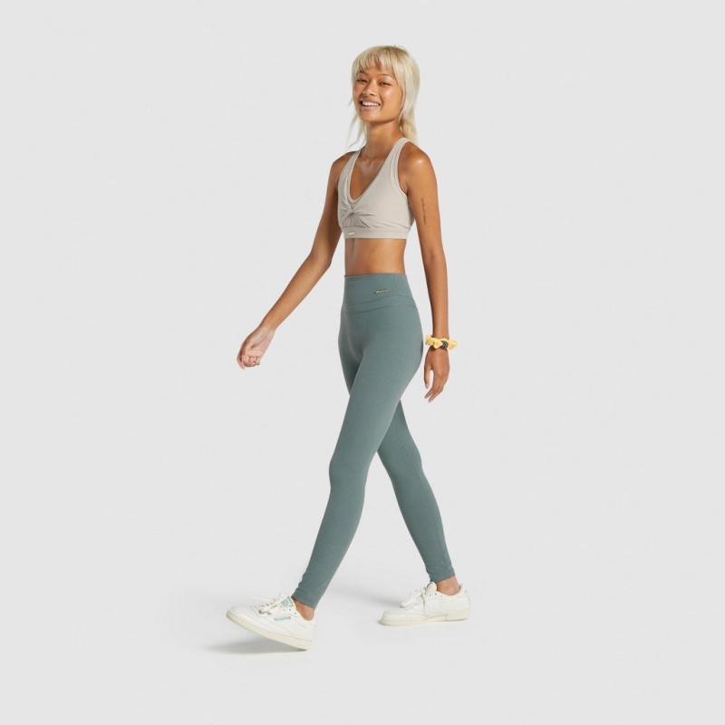 Leggins Gymshark Whitney High Rise Eucalyptus | 93RUMIPLN