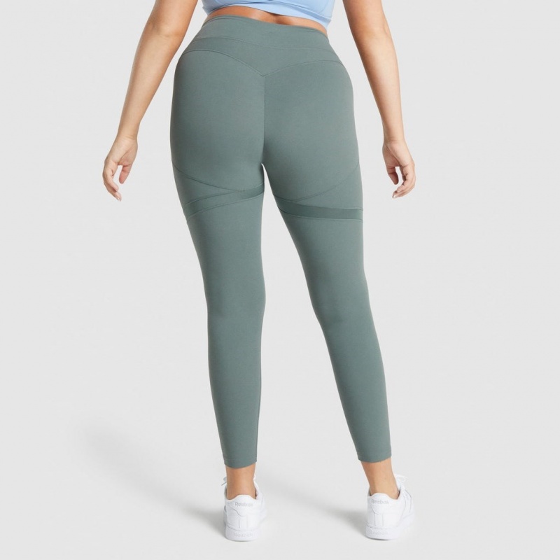 Leggins Gymshark Whitney Mesh Eucalyptus | 23FXNETCZ