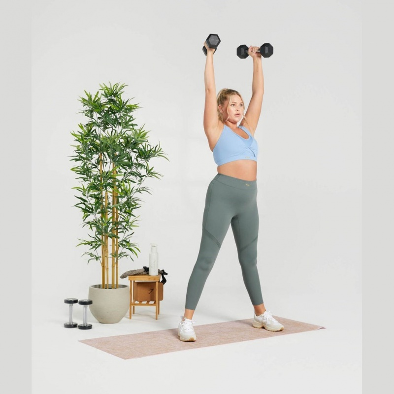 Leggins Gymshark Whitney Mesh Eucalyptus | 23FXNETCZ