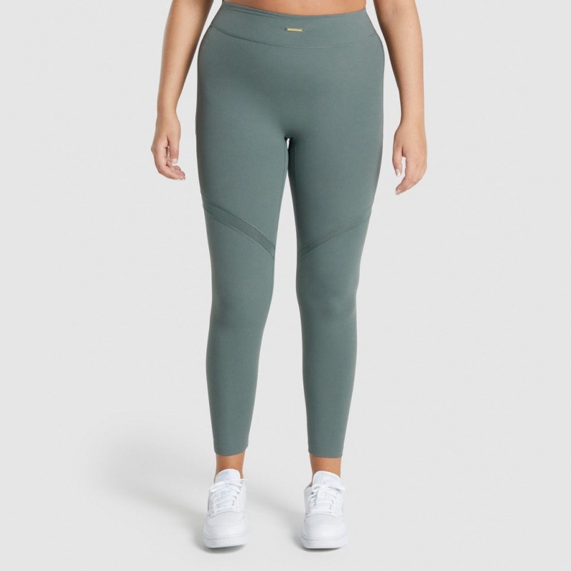 Leggins Gymshark Whitney Mesh Eucalyptus | 23FXNETCZ