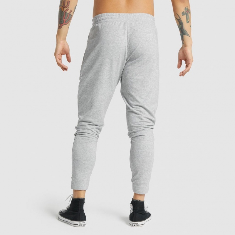 Pantalones Jogger Gymshark Critical 2.0 Gris Claro | 23VRWSMIP