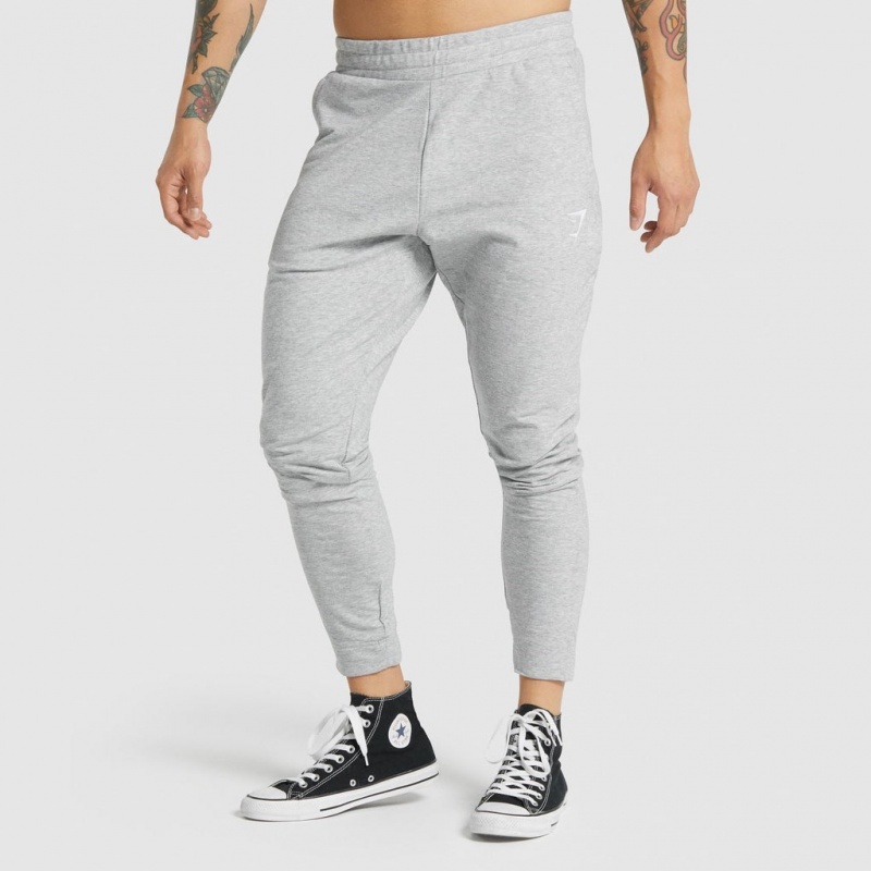 Pantalones Jogger Gymshark Critical 2.0 Gris Claro | 23VRWSMIP