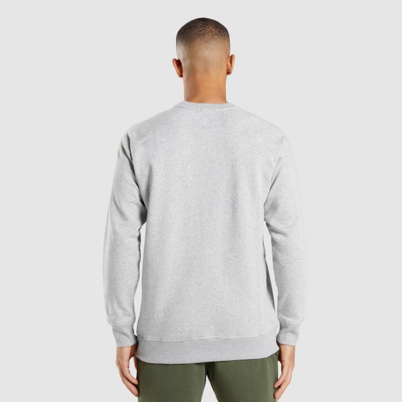 Pullover Gymshark Apollo Crew Gris Claro | 27VBJKTNF