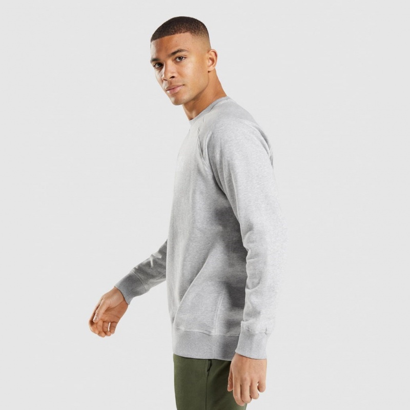 Pullover Gymshark Apollo Crew Gris Claro | 27VBJKTNF