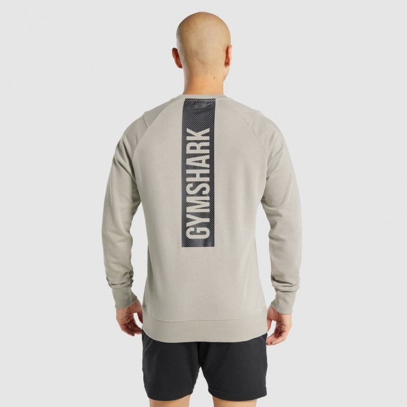 Pullover Gymshark Bold Crew Gris | 23NRMSAHV