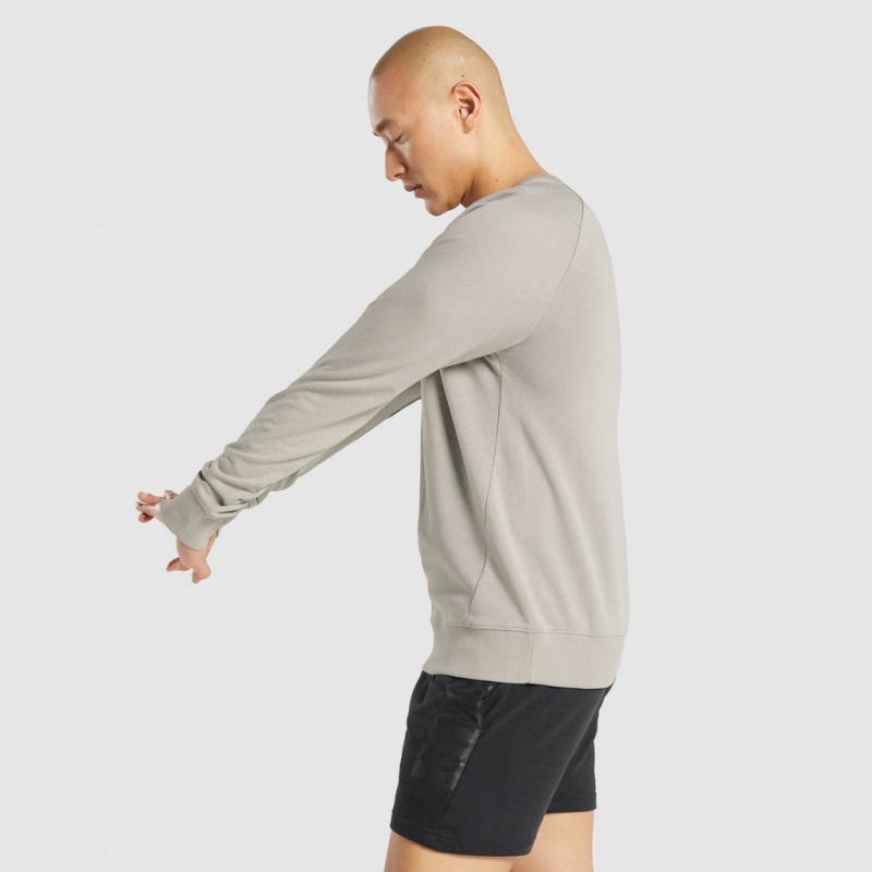 Pullover Gymshark Bold Crew Gris | 23NRMSAHV
