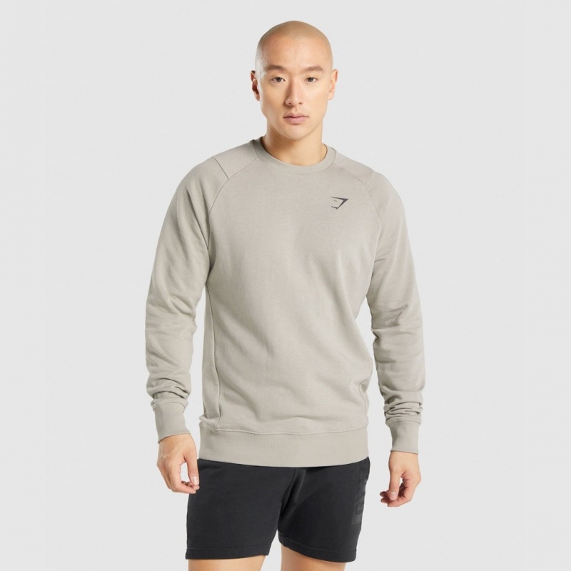 Pullover Gymshark Bold Crew Gris | 23NRMSAHV