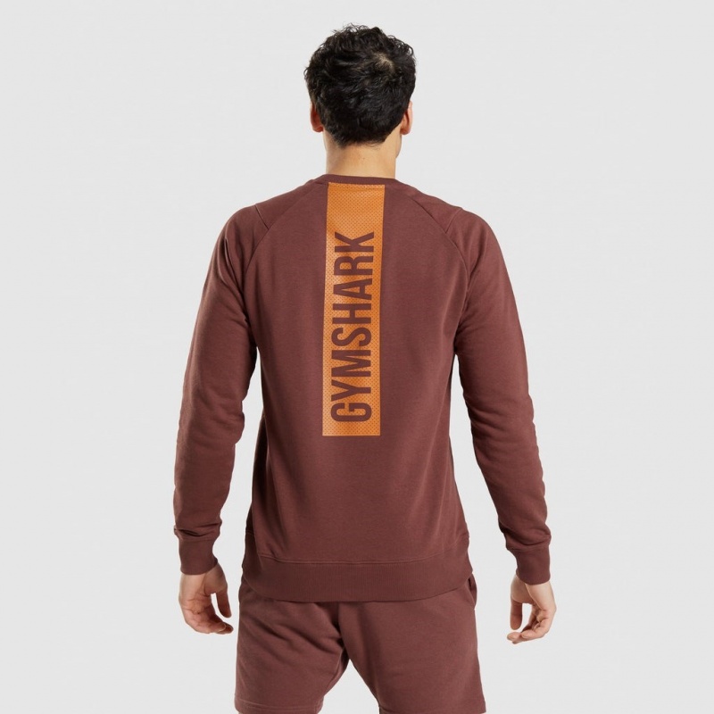 Pullover Gymshark Bold Crew Marrones | 48XRSDOEG