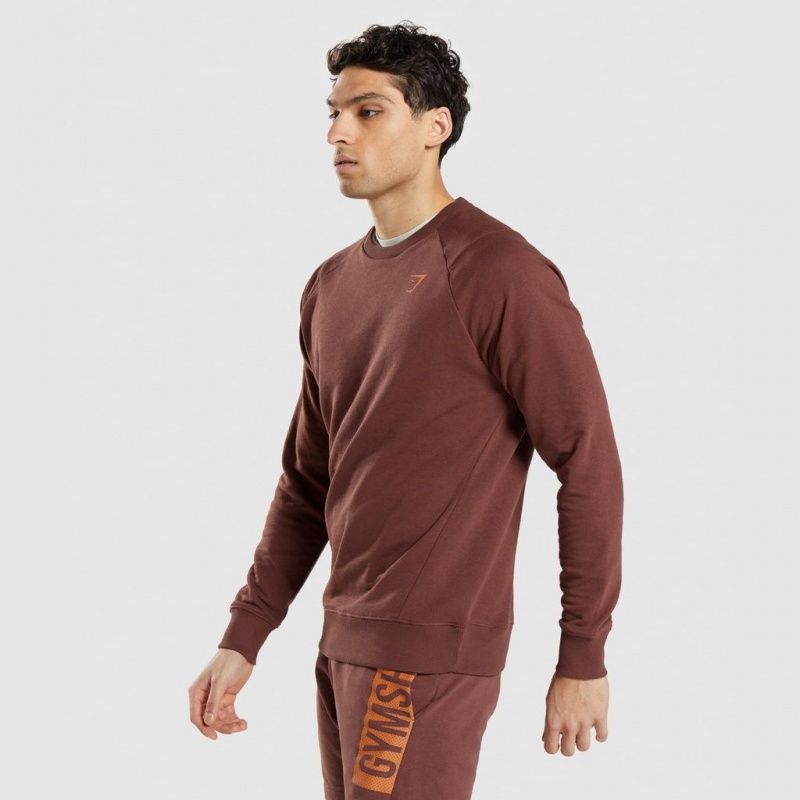 Pullover Gymshark Bold Crew Marrones | 48XRSDOEG