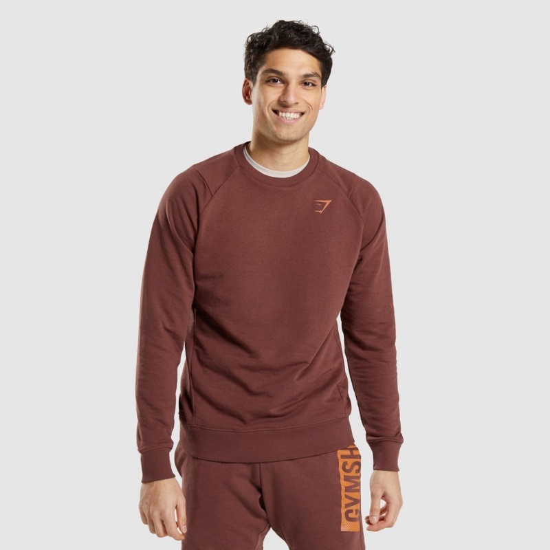 Pullover Gymshark Bold Crew Marrones | 48XRSDOEG