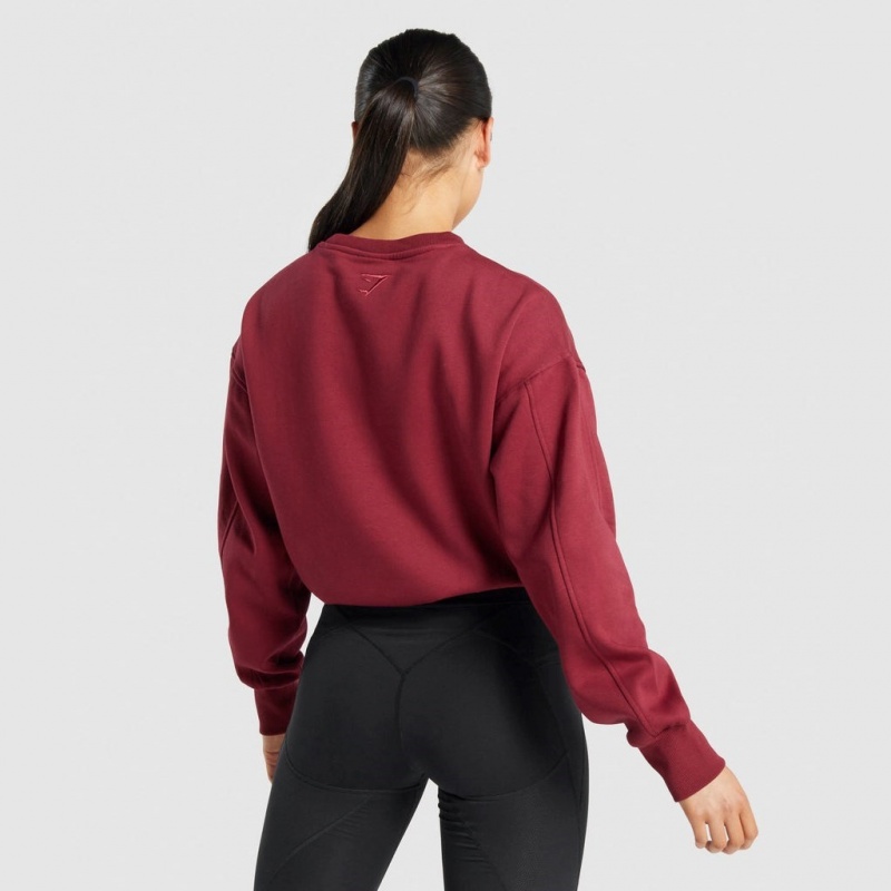 Pullover Gymshark Pulse Burdeos | 87ACVRPJO