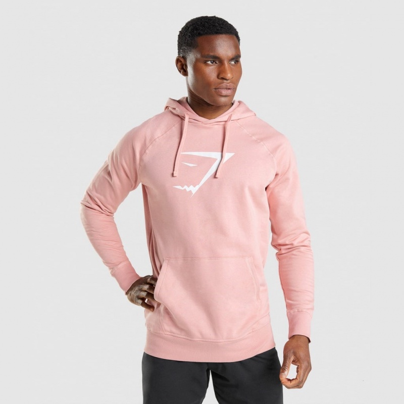 Pullover Gymshark Sharkhead Infill Rosas | 67YEGVOAW