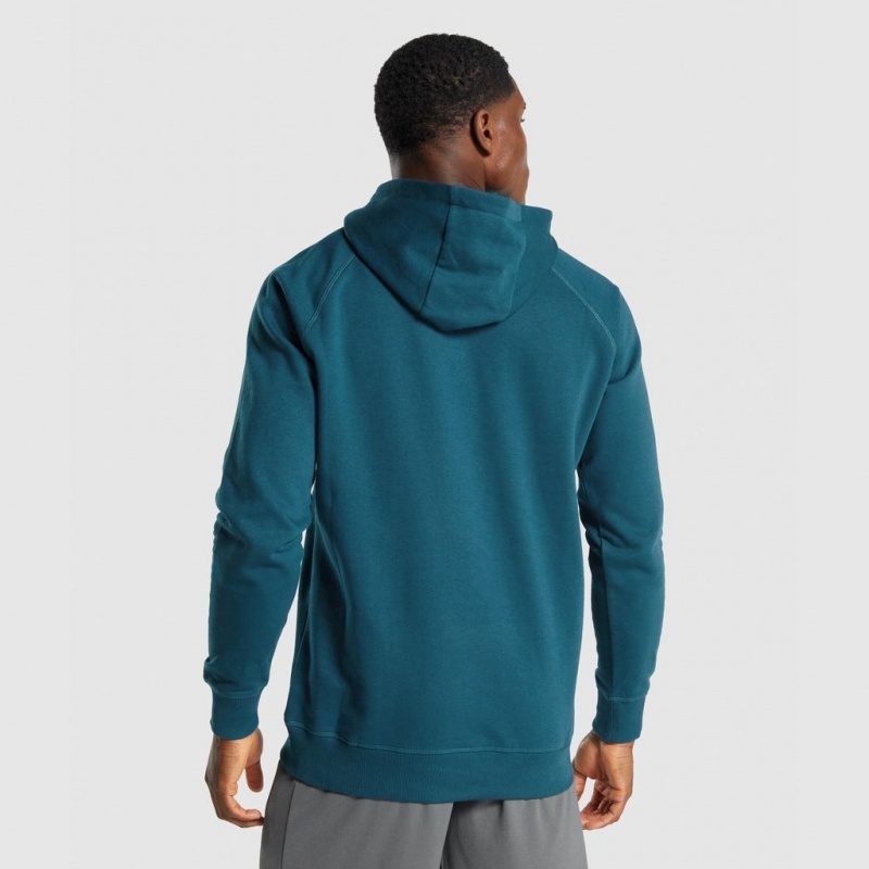 Pullover Gymshark Sharkhead Infill Teal | 70HONBAYP