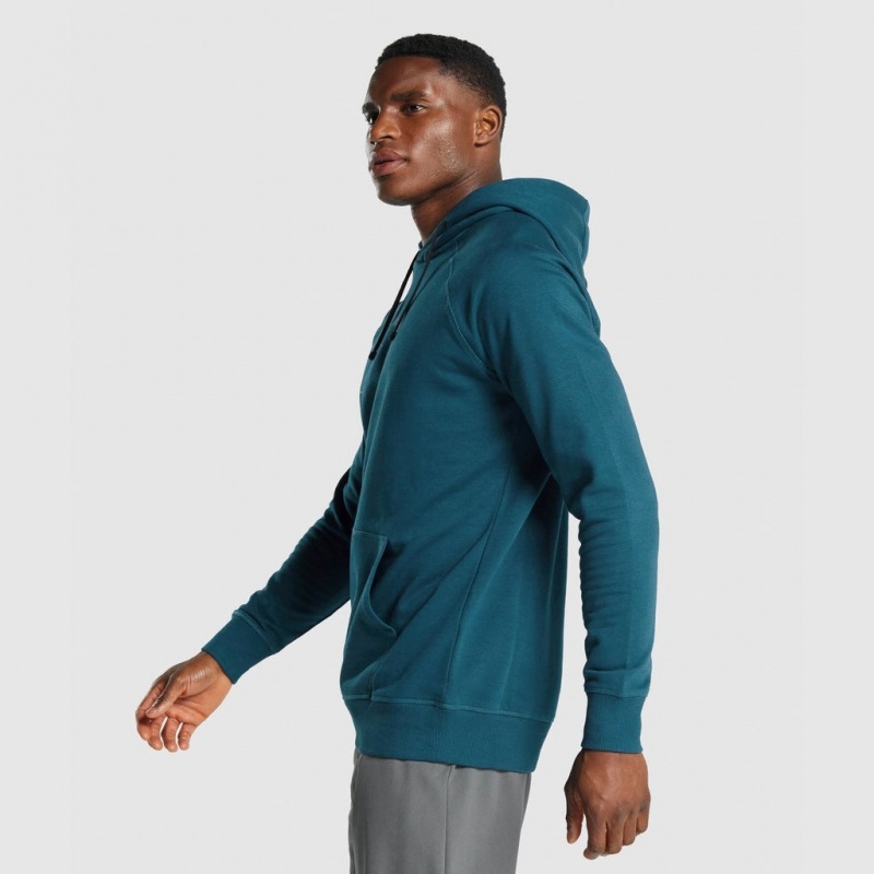 Pullover Gymshark Sharkhead Infill Teal | 70HONBAYP