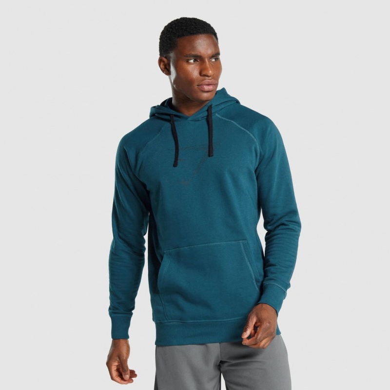 Pullover Gymshark Sharkhead Infill Teal | 70HONBAYP
