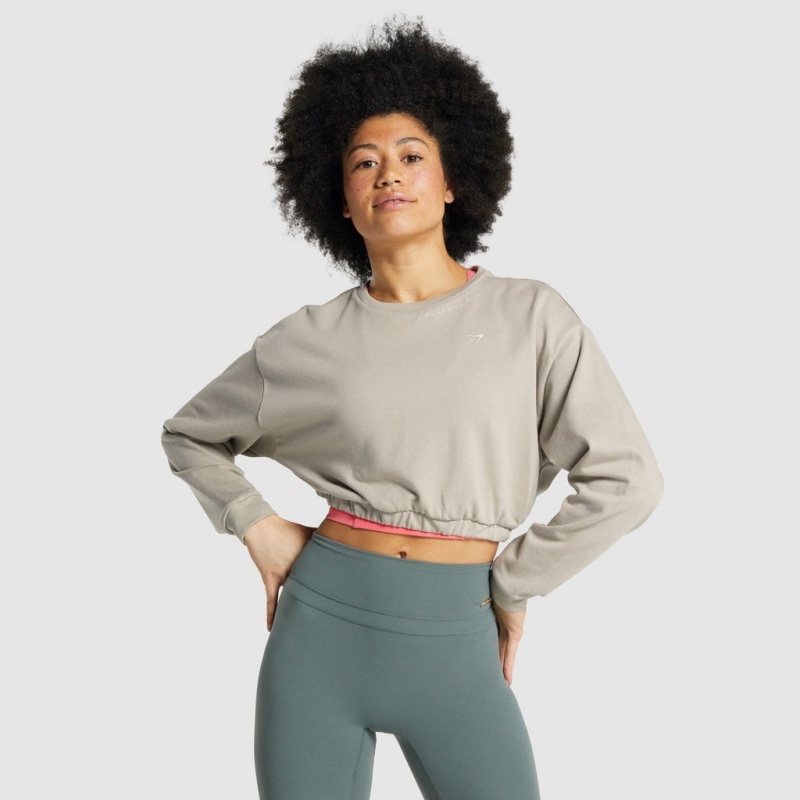 Pullover Gymshark Whitney Cropped Mink | 40ANLIVFQ