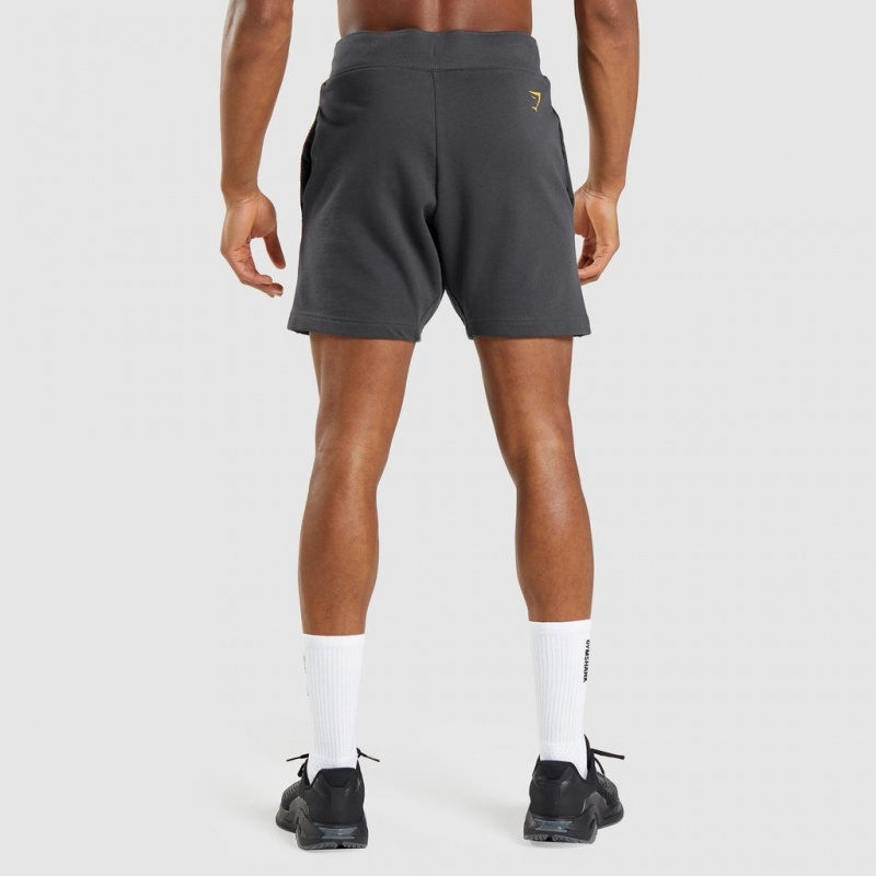 Short Gymshark Bold Gris | 45AMIQTFN