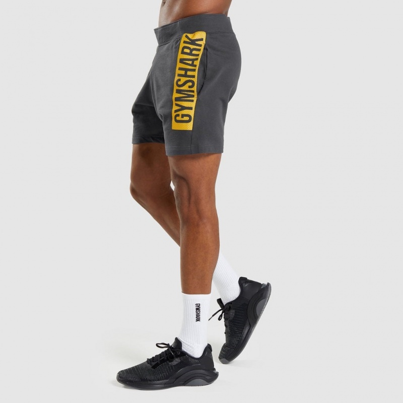 Short Gymshark Bold Gris | 45AMIQTFN