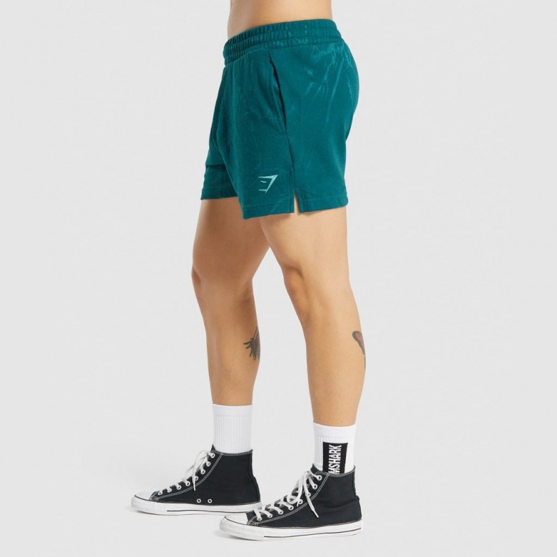 Short Gymshark Power 5 Teal Print | 21NVEWBRD