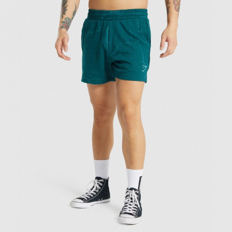 Short Gymshark Power 5 Teal Print | 21NVEWBRD