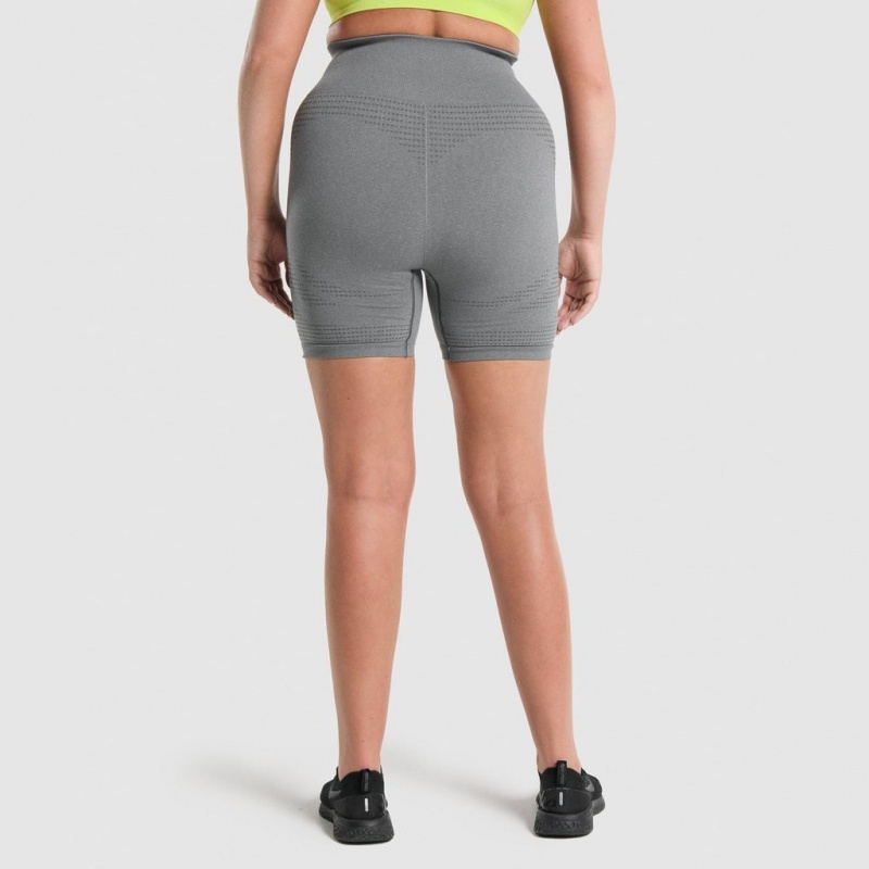 Short Gymshark Vital Seamless 2.0 Gris | 19UIJSTER