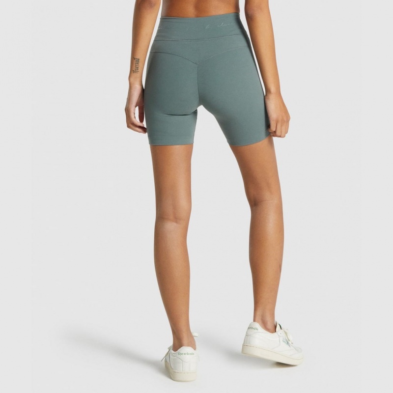Short Gymshark Whitney Mesh Eucalyptus | 64NOLEFXU