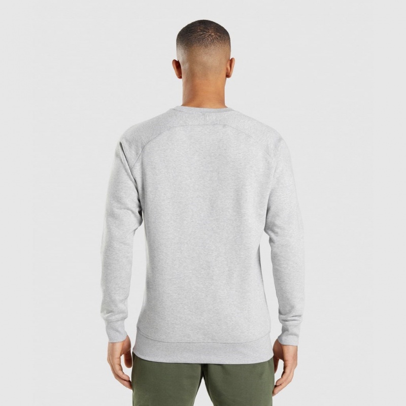 Sudadera Gymshark Crest Gris Claro | 46CXNUPHS