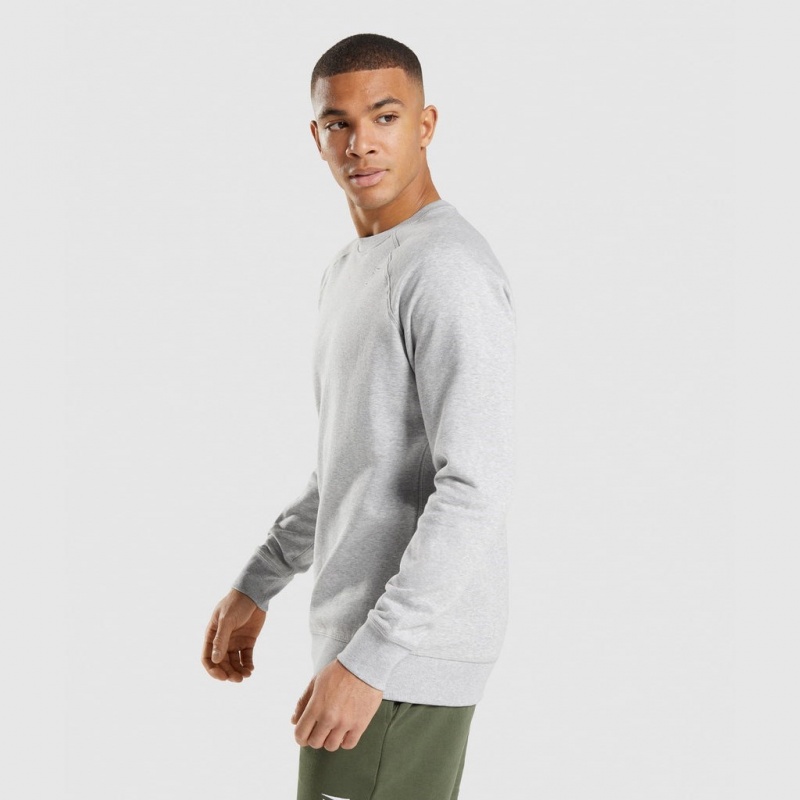 Sudadera Gymshark Crest Gris Claro | 46CXNUPHS