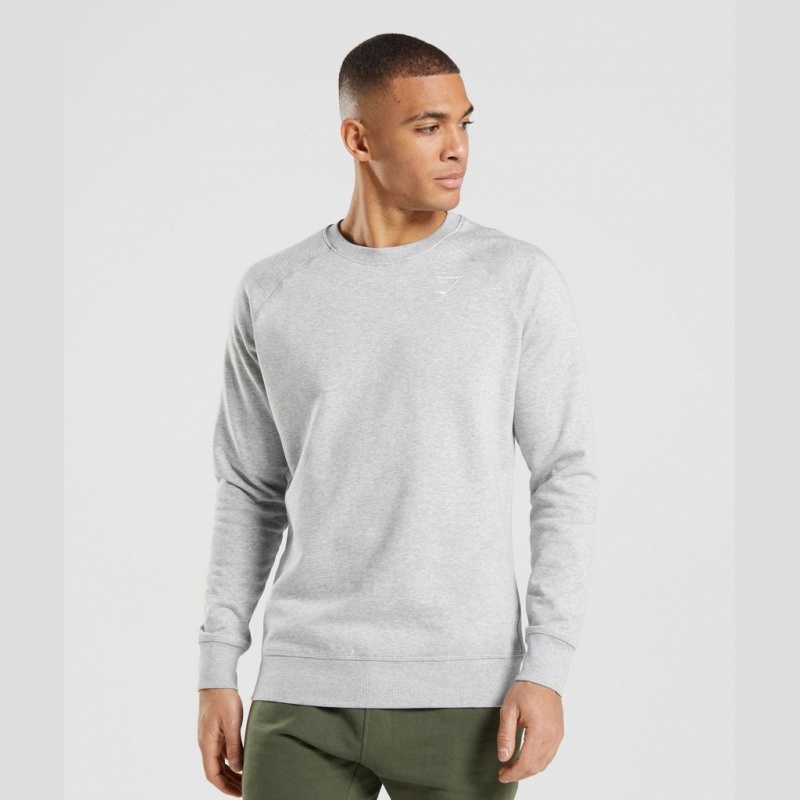 Sudadera Gymshark Crest Gris Claro | 46CXNUPHS