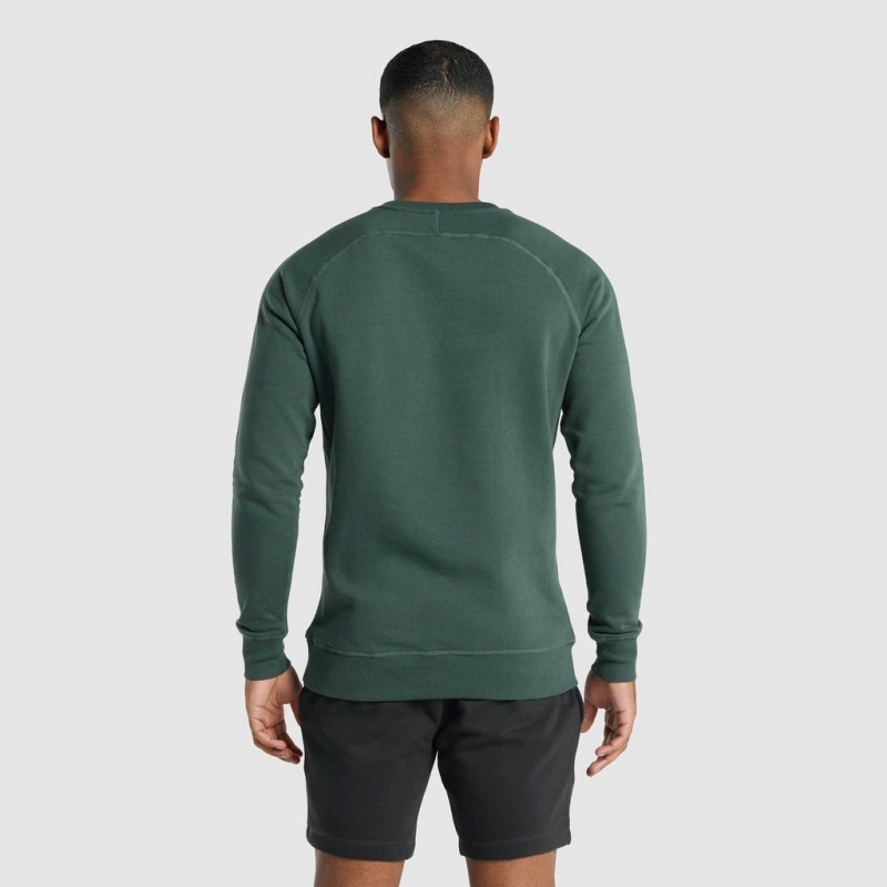 Sudadera Gymshark Crest Verde Oscuro | 37OBAFUDT