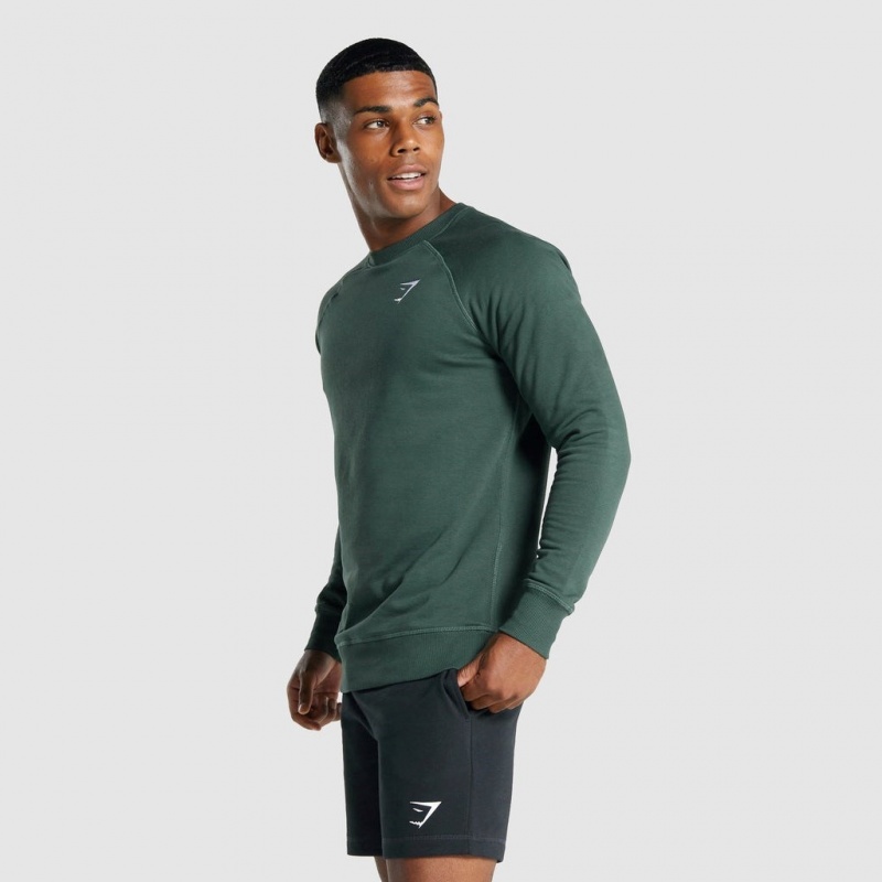 Sudadera Gymshark Crest Verde Oscuro | 37OBAFUDT