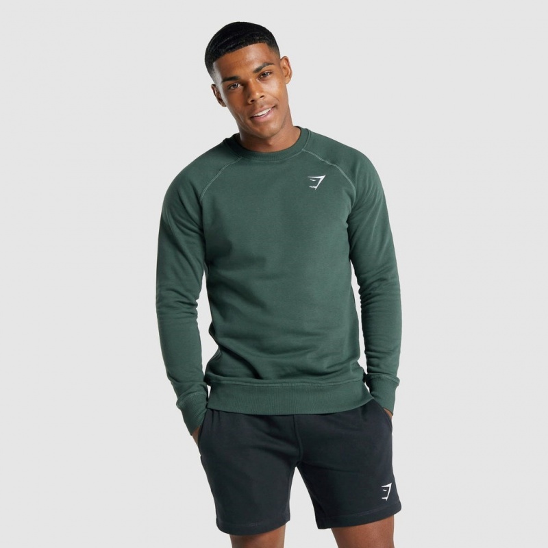 Sudadera Gymshark Crest Verde Oscuro | 37OBAFUDT