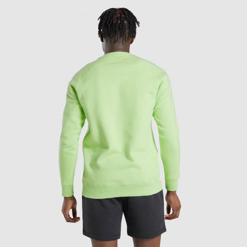 Sudadera Gymshark Crest Verde | 24ZRJVQWM