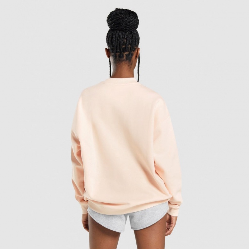 Sudadera Gymshark Entrenamiento Oversized Marrones Claro | 73VWGZNJT