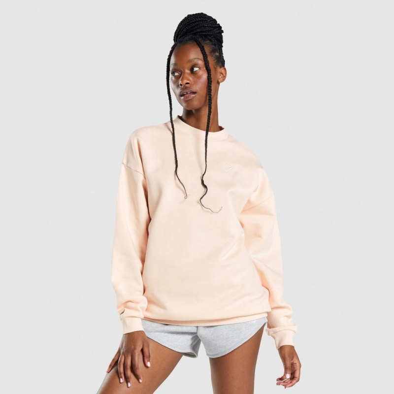 Sudadera Gymshark Entrenamiento Oversized Marrones Claro | 73VWGZNJT