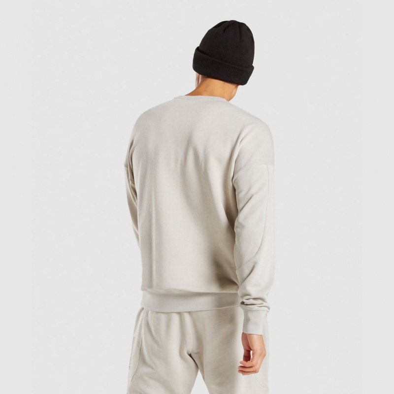 Sudadera Gymshark Restore Gris | 39HWSLVIT