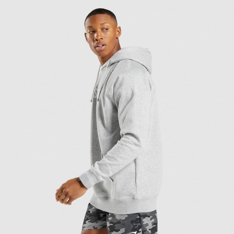 Sudadera con Capucha Gymshark Apollo Gris Claro | 74BWZDGOR