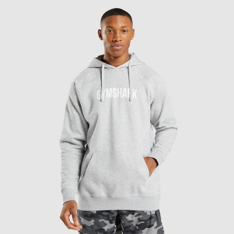 Sudadera con Capucha Gymshark Apollo Gris Claro | 74BWZDGOR