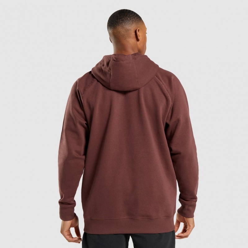 Sudadera con Capucha Gymshark Apollo Marrones | 45GZTDRPU