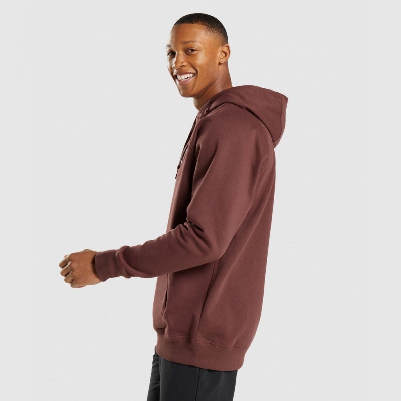Sudadera con Capucha Gymshark Apollo Marrones | 45GZTDRPU