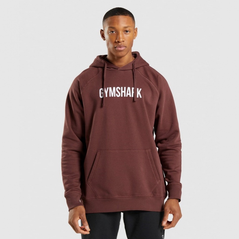Sudadera con Capucha Gymshark Apollo Marrones | 45GZTDRPU