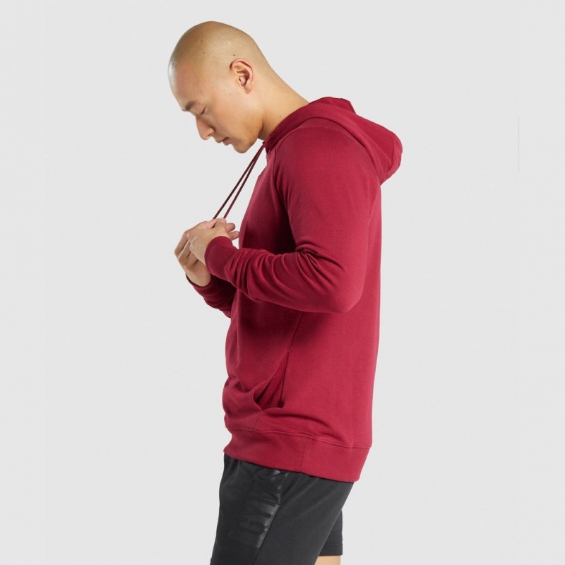 Sudadera con Capucha Gymshark Bold Burdeos | 16BOGENLX