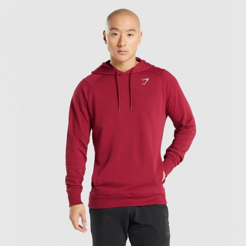 Sudadera con Capucha Gymshark Bold Burdeos | 16BOGENLX