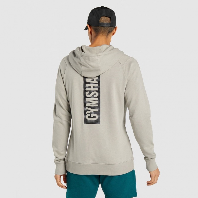 Sudadera con Capucha Gymshark Bold Gris | 80CQYXOVD