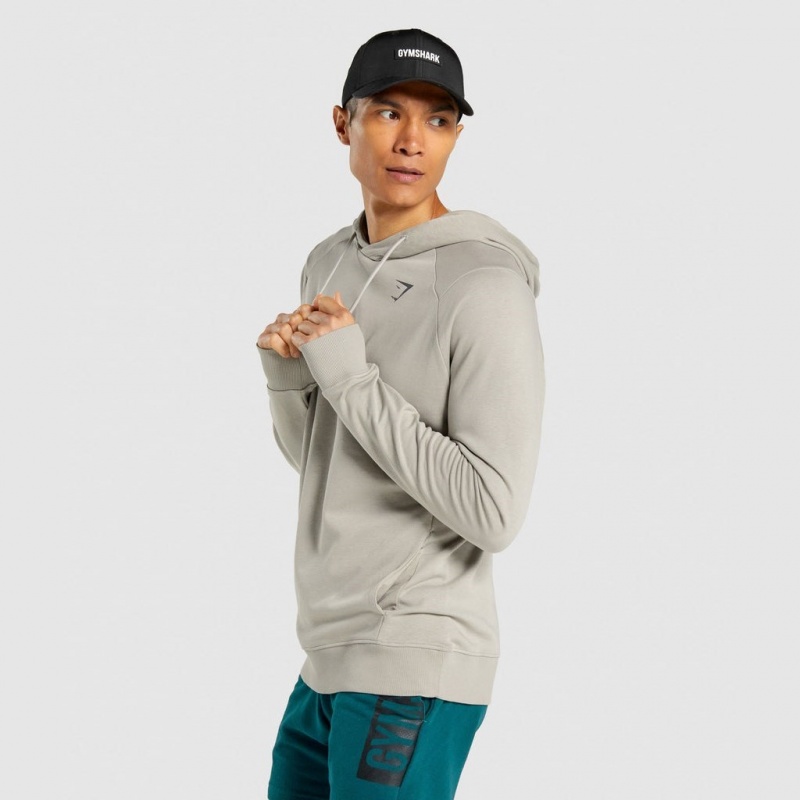 Sudadera con Capucha Gymshark Bold Gris | 80CQYXOVD