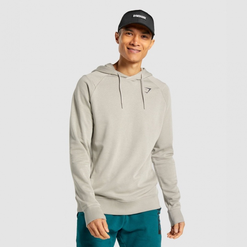 Sudadera con Capucha Gymshark Bold Gris | 80CQYXOVD